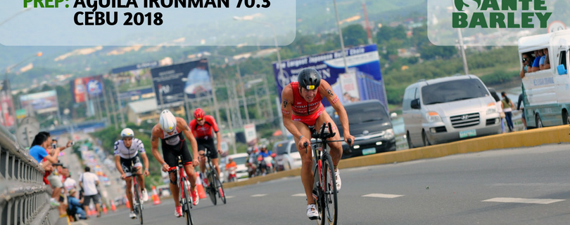 62b782 12dbd9da3168434fa23692a2cacad733mv2