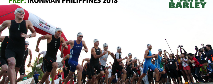 62b782 423113848c694215ba05f73d130a8746mv2