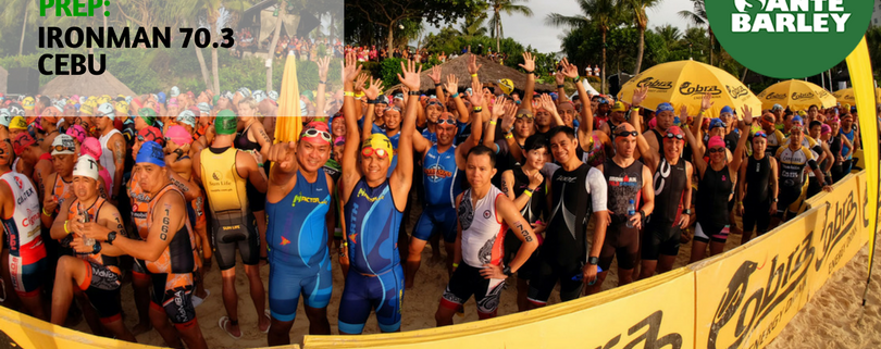 62b782 44b4a6d684144fe6acfbc876011ad815mv2