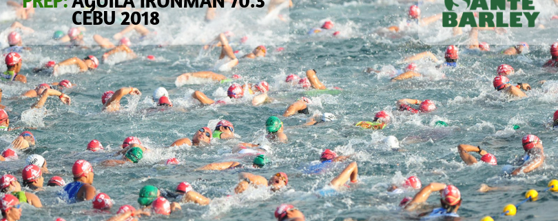 62b782 938512f1a7114607a3b8889bb9388c55mv2