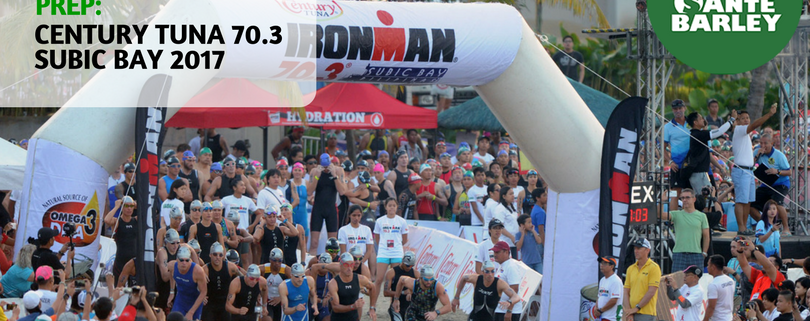 62b782 bc269a6f7abc4d65bc8420ea780e003cmv2