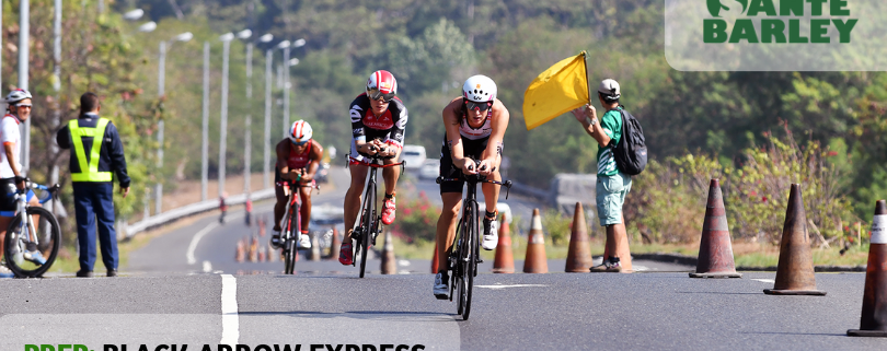 62b782 c6d16252dfd741e089602347eca10c87mv2